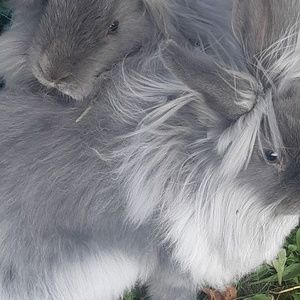 Meet your Posher, Heidi